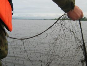 Браконьеру дали срок за рыбалку сетями на озере в Ивацевичском районе