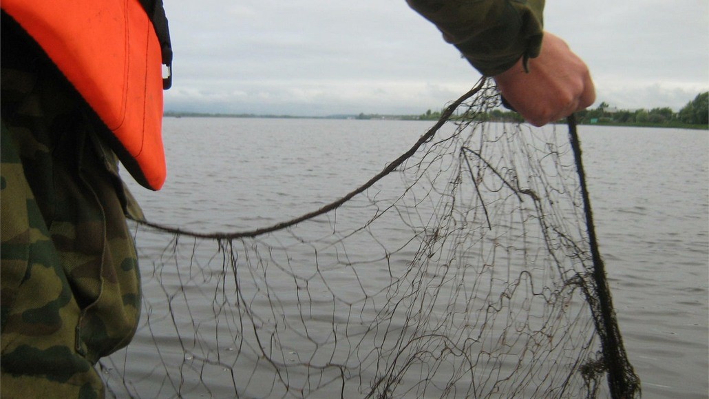 Браконьеру дали срок за рыбалку сетями на озере в Ивацевчиском районе