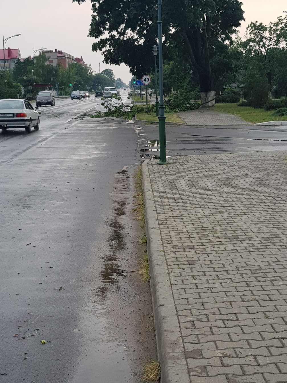 В Дрогичине и Березе выпал град размером с яйцо