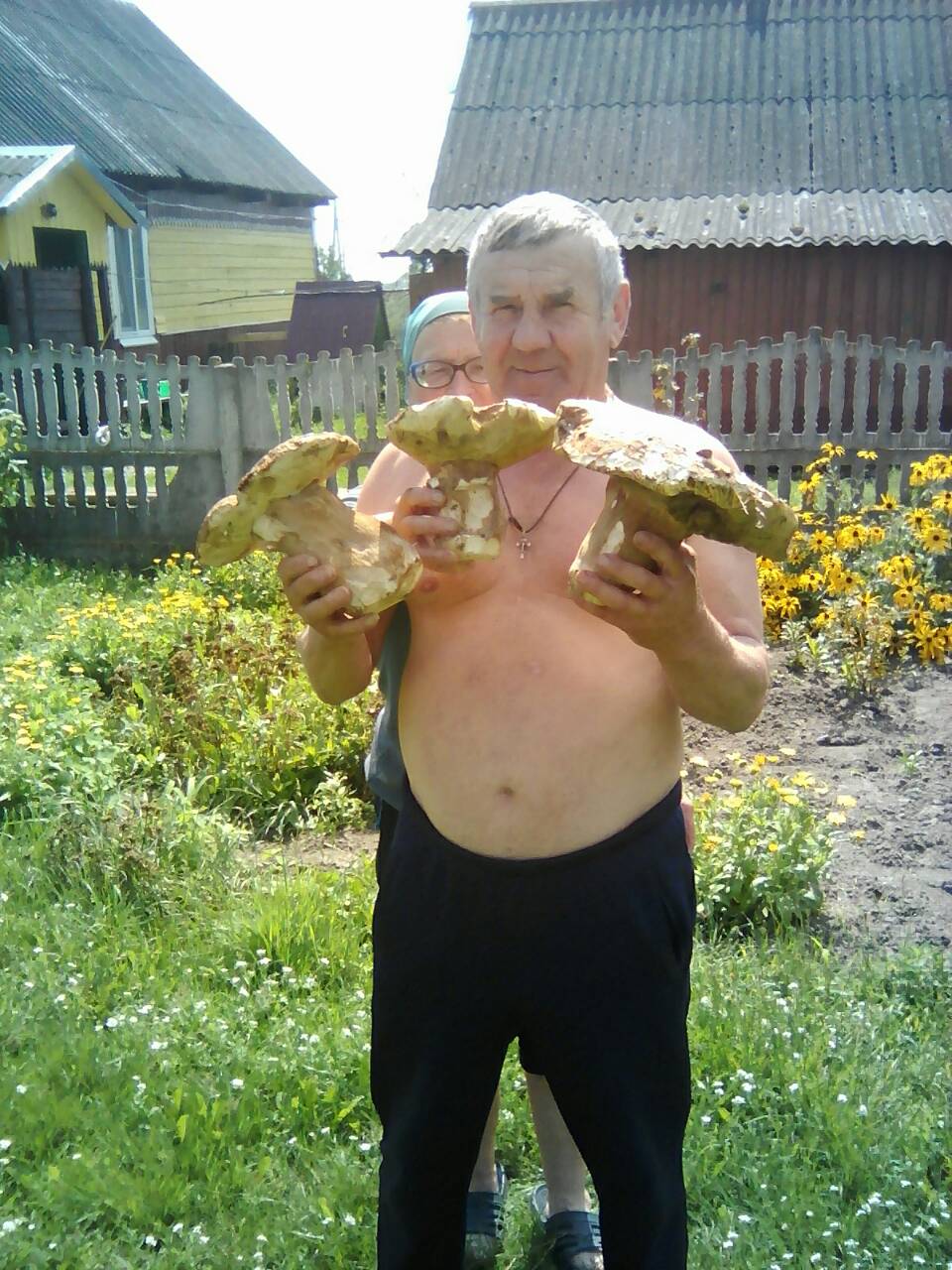 Грибной сезон в Ганцевичах