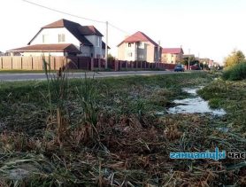 Канал по улице Орловского в Ганцевичах обкосили (фотофакт)