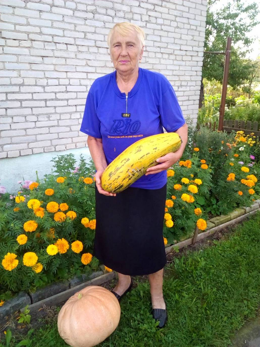 5200 граммов вес кабачка и 10500 граммов вес тыквы