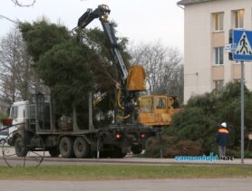 Вот и все. Главную новогоднюю елку в Ганцевичах демонтировали