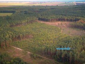 Грибники в курсе? Не везде в Брестской области можно ходить в лес