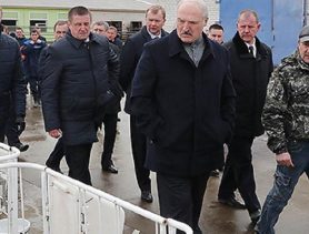 Беларусь в преддверии коронавыборов