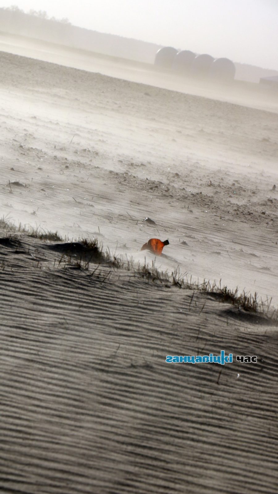 Ожидает ли Беларусь экологический апокалипсис?