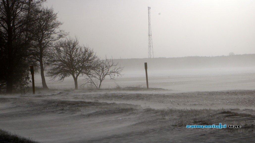 Ожидает ли Беларусь экологический апокалипсис?